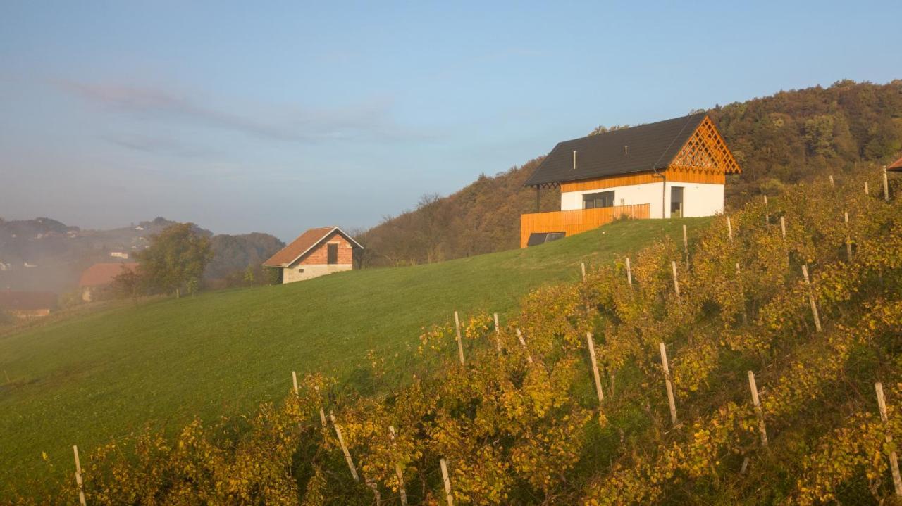 Villa Strtenica In The Vineyard Pristava pri Mestinju Eksteriør billede